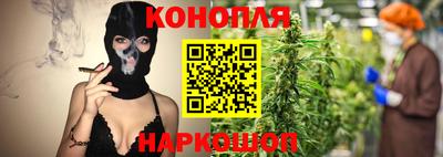 индика Ирбит