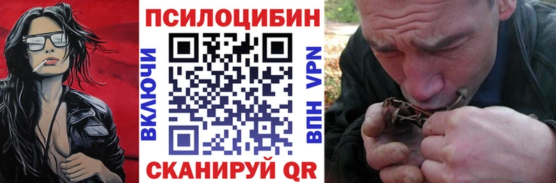 OMG ONION  Ухта  Псилоцибиновые грибы Psilocybe 